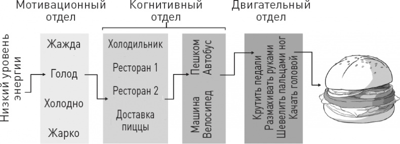 Голодный мозг. Как перехитрить инстинкты, которые заставляют нас переедать