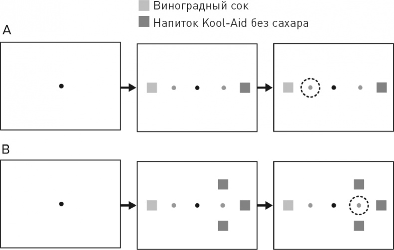 Голодный мозг. Как перехитрить инстинкты, которые заставляют нас переедать