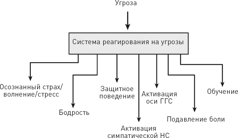 Голодный мозг. Как перехитрить инстинкты, которые заставляют нас переедать