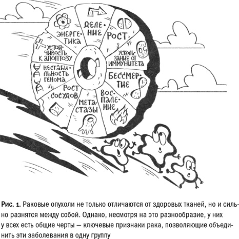 Кривое зеркало жизни. Главные мифы о раке, и что современная наука думает о них