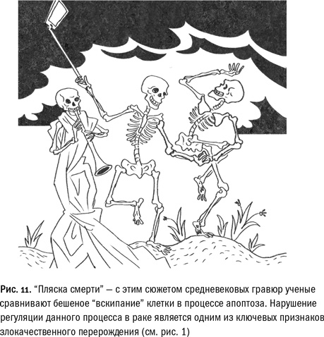 Кривое зеркало жизни. Главные мифы о раке, и что современная наука думает о них