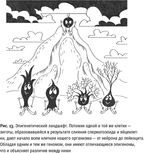 Кривое зеркало жизни. Главные мифы о раке, и что современная наука думает о них