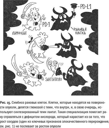 Кривое зеркало жизни. Главные мифы о раке, и что современная наука думает о них