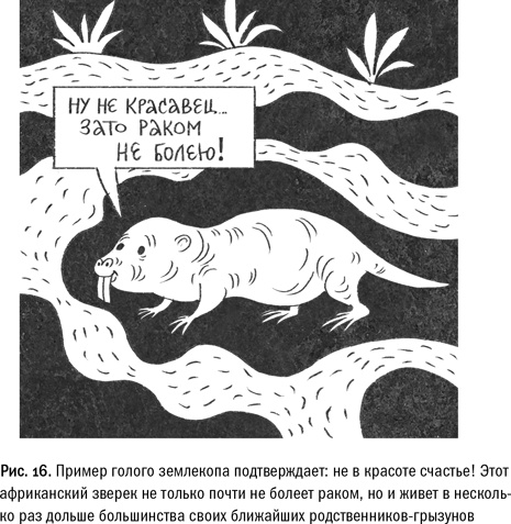 Кривое зеркало жизни. Главные мифы о раке, и что современная наука думает о них