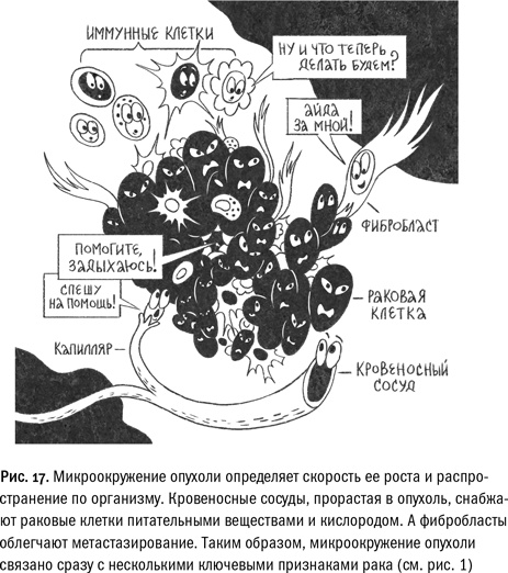 Кривое зеркало жизни. Главные мифы о раке, и что современная наука думает о них