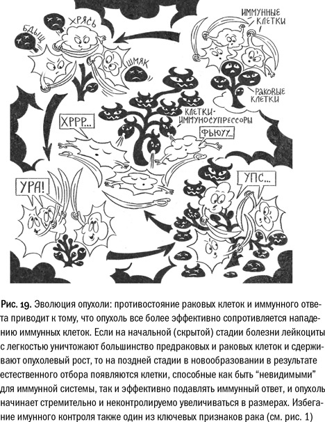 Кривое зеркало жизни. Главные мифы о раке, и что современная наука думает о них