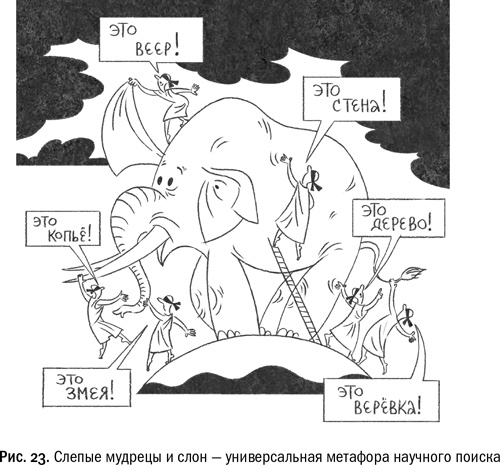 Кривое зеркало жизни. Главные мифы о раке, и что современная наука думает о них