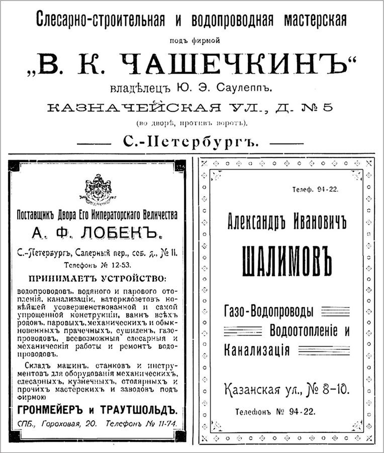 Петербургские доходные дома. Очерки из истории быта