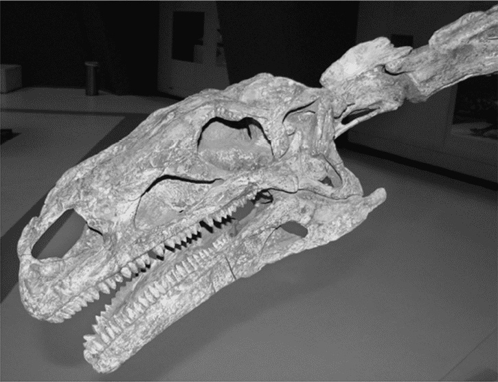 Время динозавров. Новая история древних ящеров