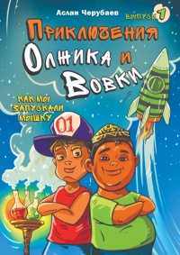 Книга Приключения Олжика и Вовки. Как мы запускали мышку 