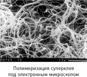 Наука раскрытия преступлений