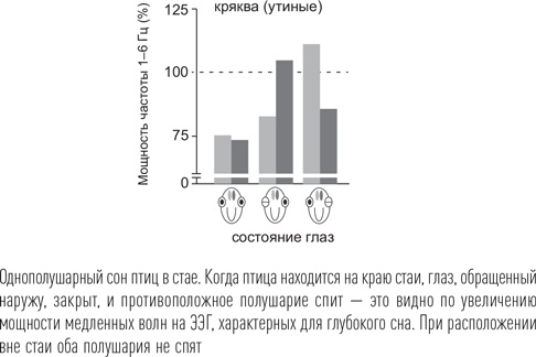 Загадки сна