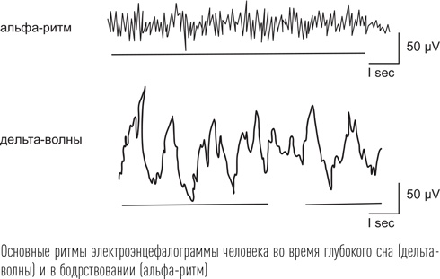 Загадки сна