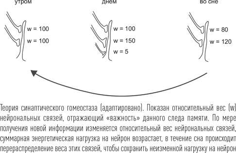 Загадки сна