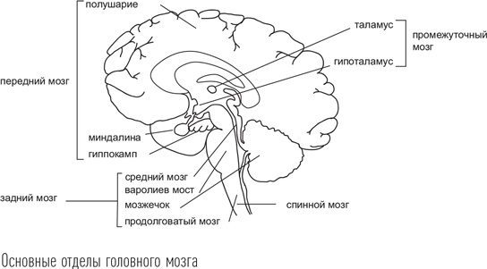 Загадки сна