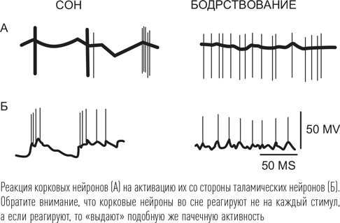 Загадки сна