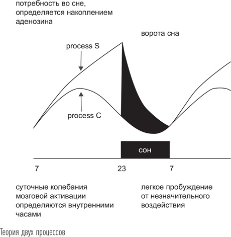 Загадки сна