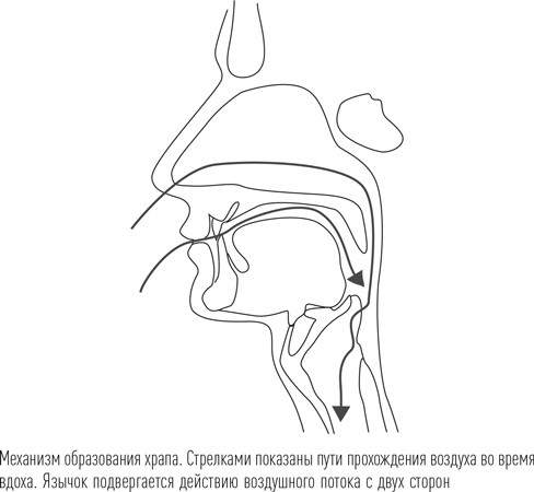 Загадки сна