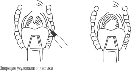 Загадки сна