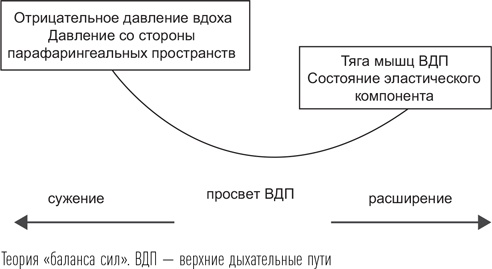 Загадки сна