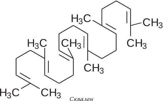 Кожа: мифы и правда о самом большом органе