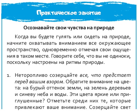 Стрессоустойчивый мозг. Управляйте эмоциональной реакцией с помощью осознанности