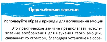 Стрессоустойчивый мозг. Управляйте эмоциональной реакцией с помощью осознанности