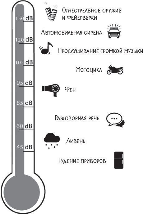 В лабиринтах уха, горла и носа. Скрытые механизмы работы, неочевидные взаимосвязи и полезные знания, которые помогут «дотянуть» до визита к врачу