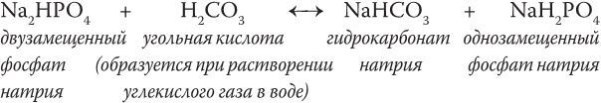 Предрассудки о здоровье. Жить надо с умом и правильно