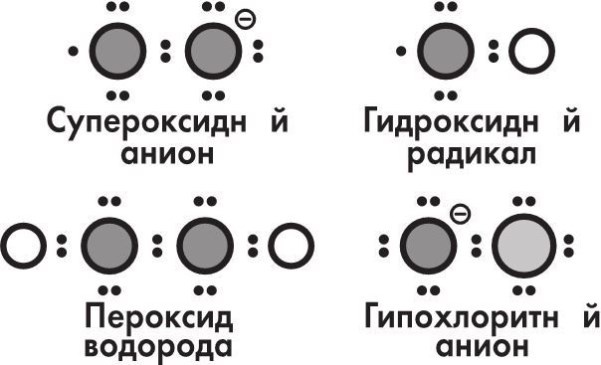 Предрассудки о здоровье. Жить надо с умом и правильно