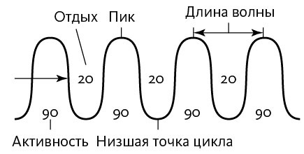 Вдохновляющий лидер