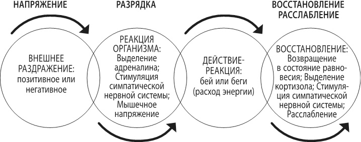 Воспитывать, не повышая голоса. Как вернуть себе спокойствие, а детям – детство