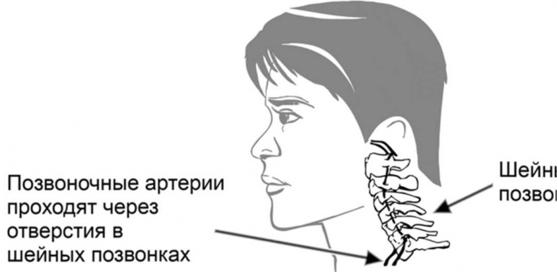 Медицина здоровья против медицины болезней другой путь. Как избавиться от гипертонии, диабета и атеросклероза