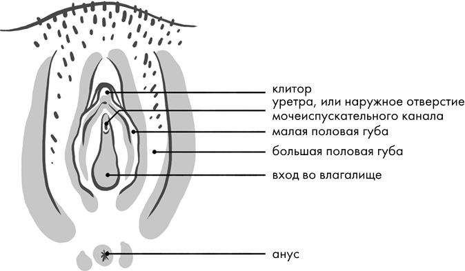 Розовая революция