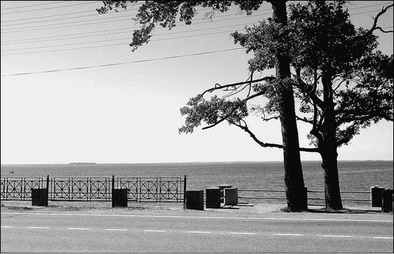 Пригороды Санкт-Петербурга. От Петергофа до Гатчины 