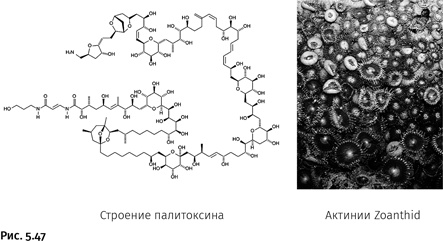 Карнавал молекул