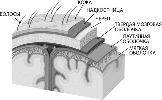 Не дай голове расколоться!