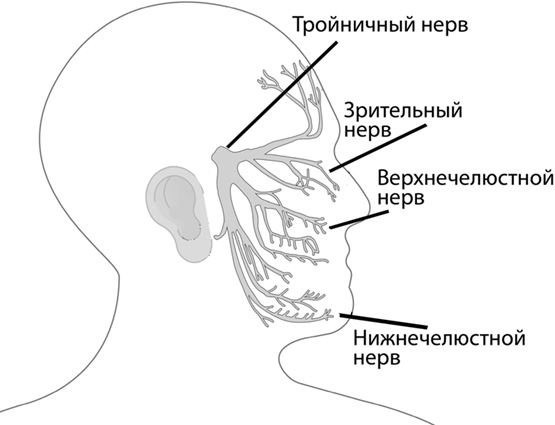 Не дай голове расколоться!