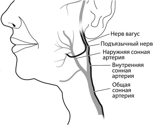 Не дай голове расколоться!