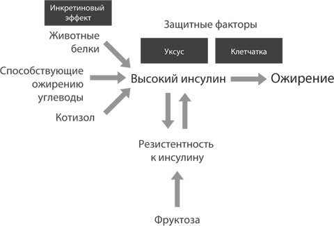 Код ожирения