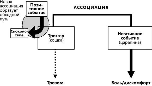 Перенастройте свой встревоженный мозг