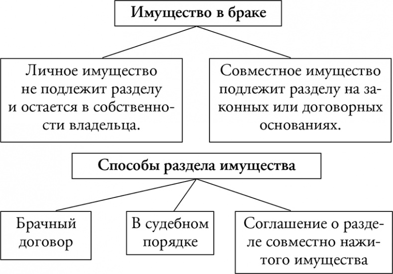 Адвокат для дилетантов