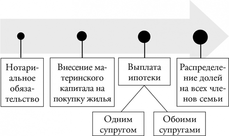 Адвокат для дилетантов