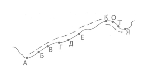 Жизнь по своим правилам