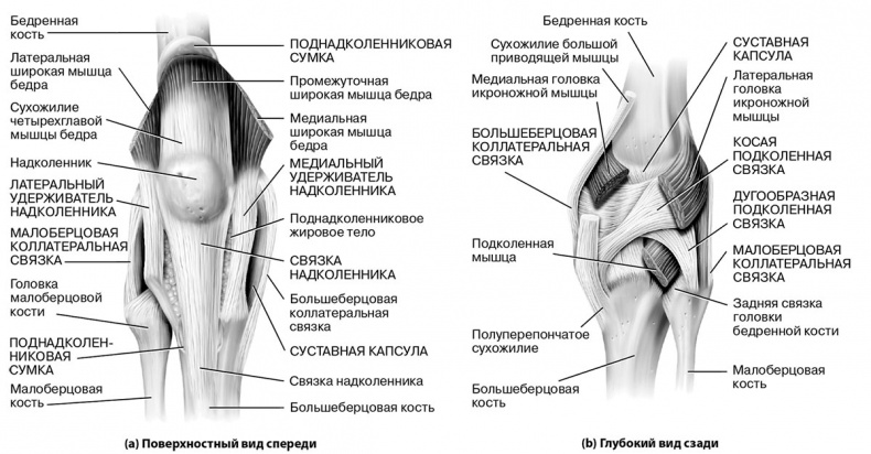 Красивое долголетие