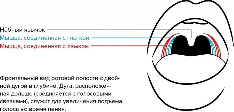 Голос