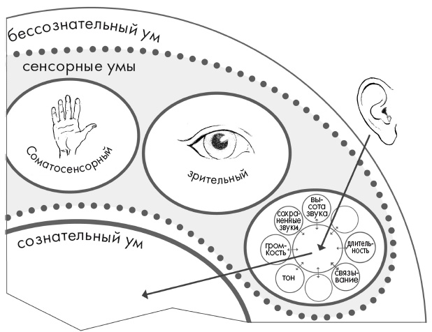 Свет ума