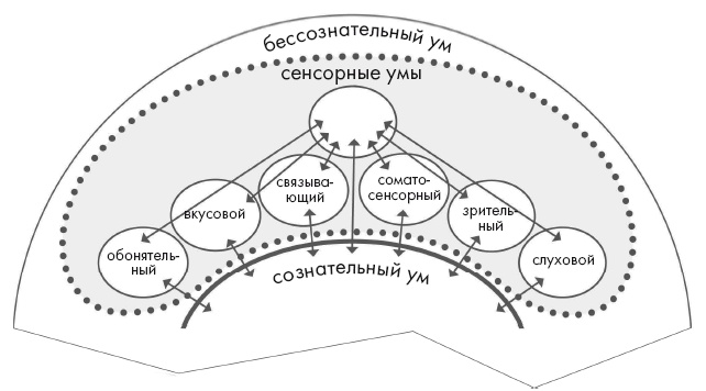 Свет ума