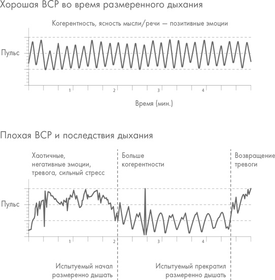 Физический интеллект