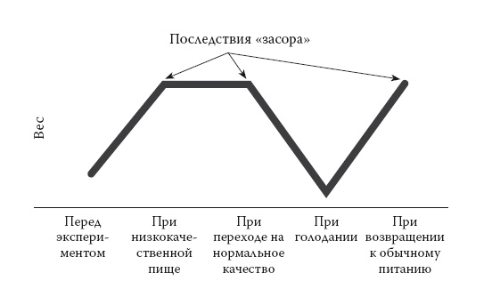 Умные калории: как больше есть, меньше тренироваться, похудеть и жить лучше